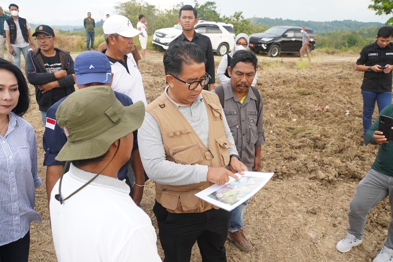 Garap 35 Hektare Lahan, Sulbar Kembangkan Benih Induk Hortikultura di Luyo